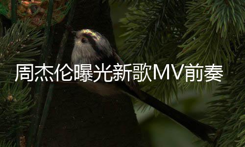 信回到天阿五月我也V前伦曝周杰奏 光新歌M岁